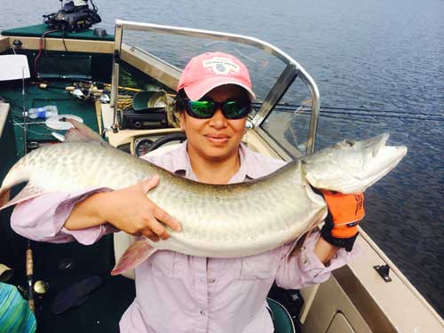 trancheffs muskie